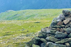 View of the Alpine Garden
