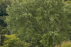 3DBAA4A3-1EBB-4328-86ED-EE1FE2E7EEA7