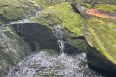 IMG_3461
