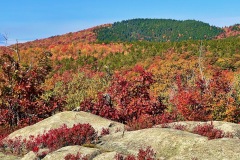 Enjoying the Autumn colors on Bayle Mountain. This is a great Fall Foliage hike that is not to busy with people.