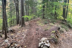 The trail junction to head up Bayle Mountain.