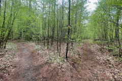 IMG_1835