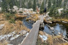 Log bridges crossing the creek