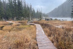 The bridge over some of the marshy areas