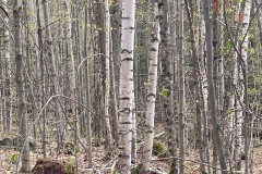 IMG_1740