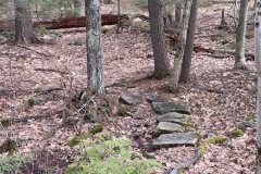 IMG_1759