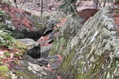 IMG_1779