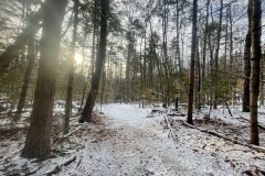 Starting down the Ridge Trail