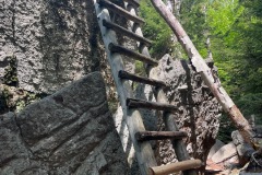 Ladder on Goodrich Rock