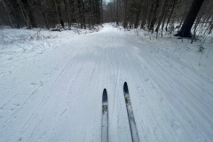 Skiing down the trail