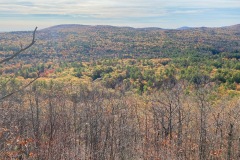 IMG_6206