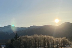 IMG_8282