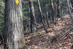 IMG_0079