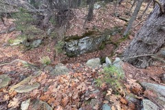 IMG_7031