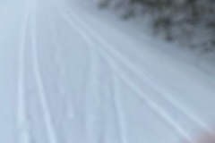 IMG_8215