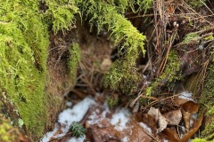 IMG_9877