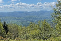 IMG_2487