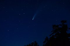 DSC_9313-scaled