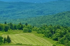 IMG_4733