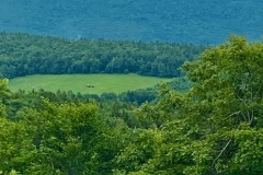 IMG_4738