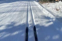 The trail was well tracked and had plenty of snow all around.