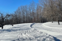 The old apple orchard along the Orchard Trail