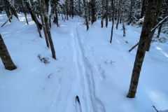 A little spur trail off the Marsh Trail. 