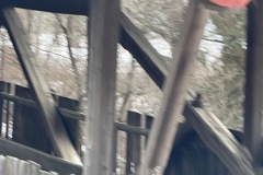 IMG_8576