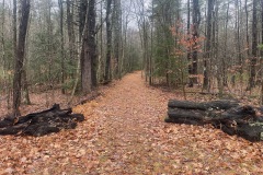 The start of the trail off Mason Road.