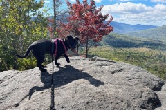 Liberty standing on the top of the Scaur