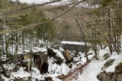 First view of the Sentinel Pine Bridge