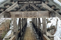 Looking through the Sentinel Pine Bridge