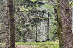 IMG_2677