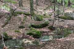 IMG_2684