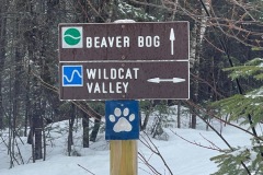 Junction of Beaver Bog Trail