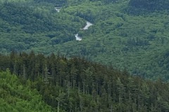 IMG_4307