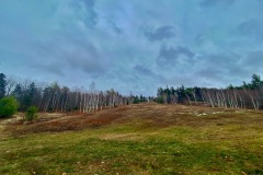 IMG_6504
