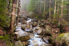 IMG_6670