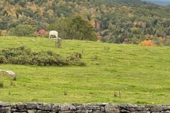 IMG_1758