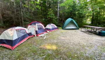 Tents Set up on Camp Site