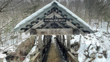 Sentinel Pine Bridge