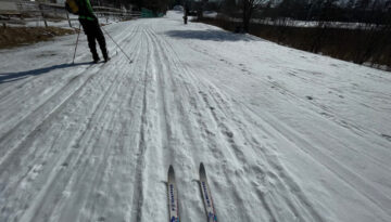 Cross Country Skiers