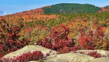 Fall Foliage on Bayle Mountain