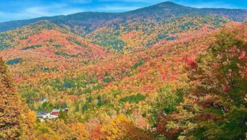 Fall Foliage viewed from the Mount Washington Auto Road in Pinkham Notch, New Hampshire