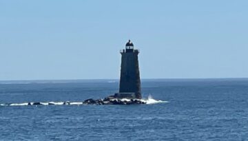 IMG_9688