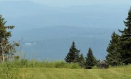 IMG_0881