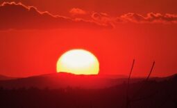 IMG_1261